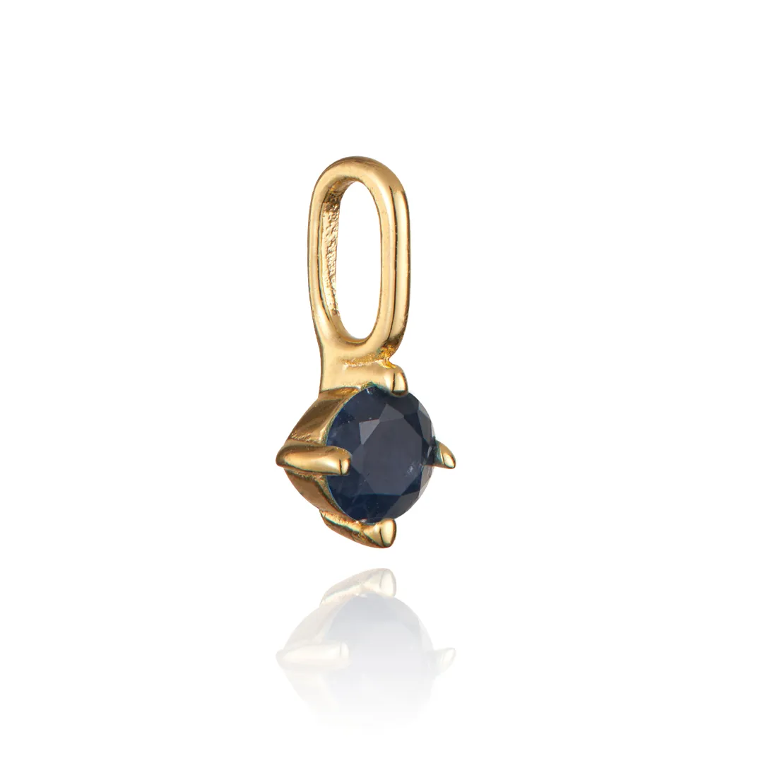 Gold Small Individual Birthstone Charm